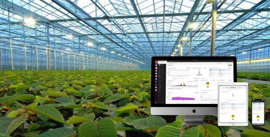 温室农业采用SenseCAP配合软件平台,实现环境监测自动化
