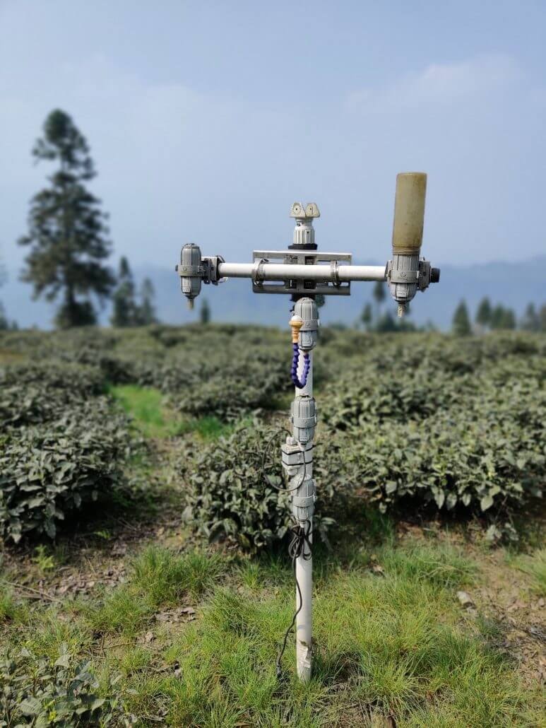 四川茶农借助SenseCAP传感器打造高山茶品牌,实现产品溯源和增值