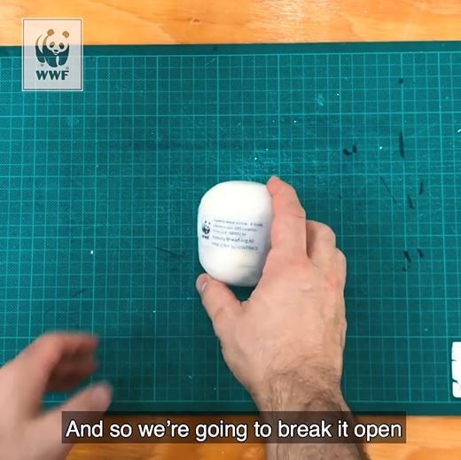 海洋垃圾探测器内部组件