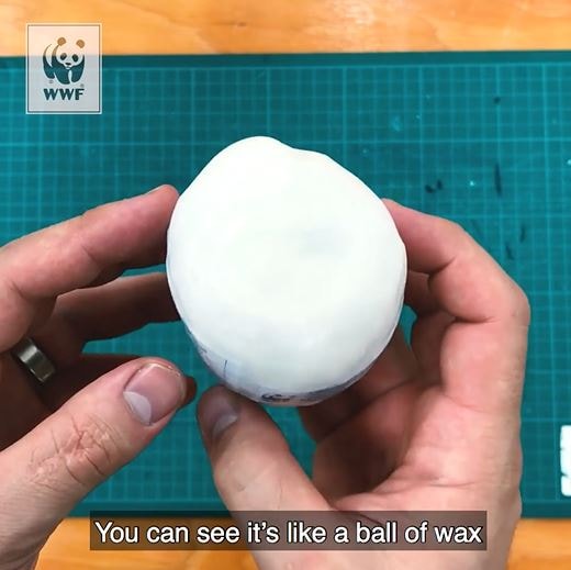 海洋垃圾探测器内部组件