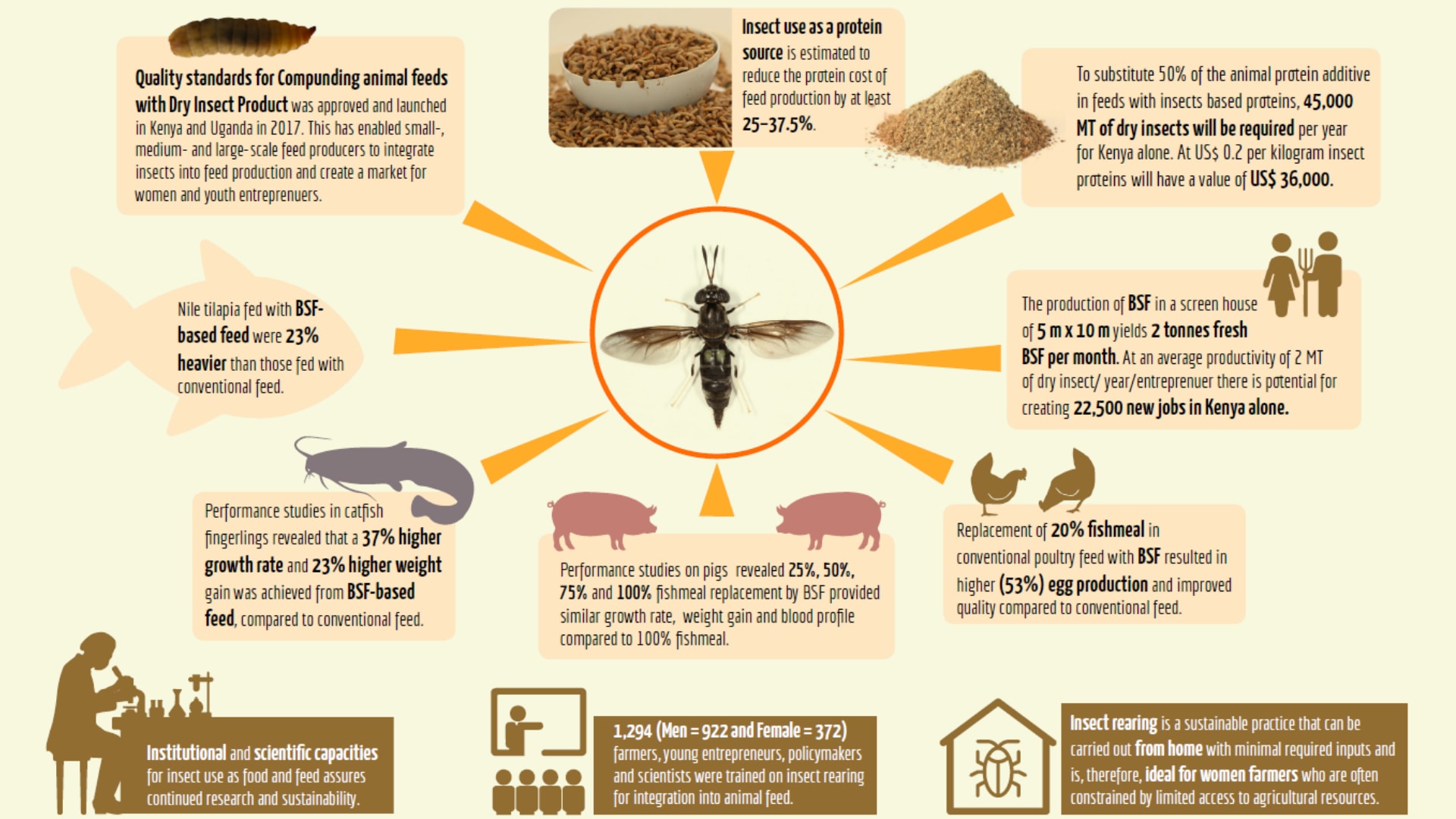 How Animal Feeds Based on BSFs Larvae Can Benefit Farmers