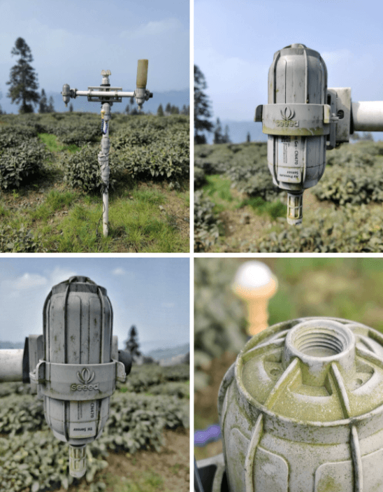 四川茶农部署SenseCAP IoTea系统，实现高山茶品质追溯和品牌升级