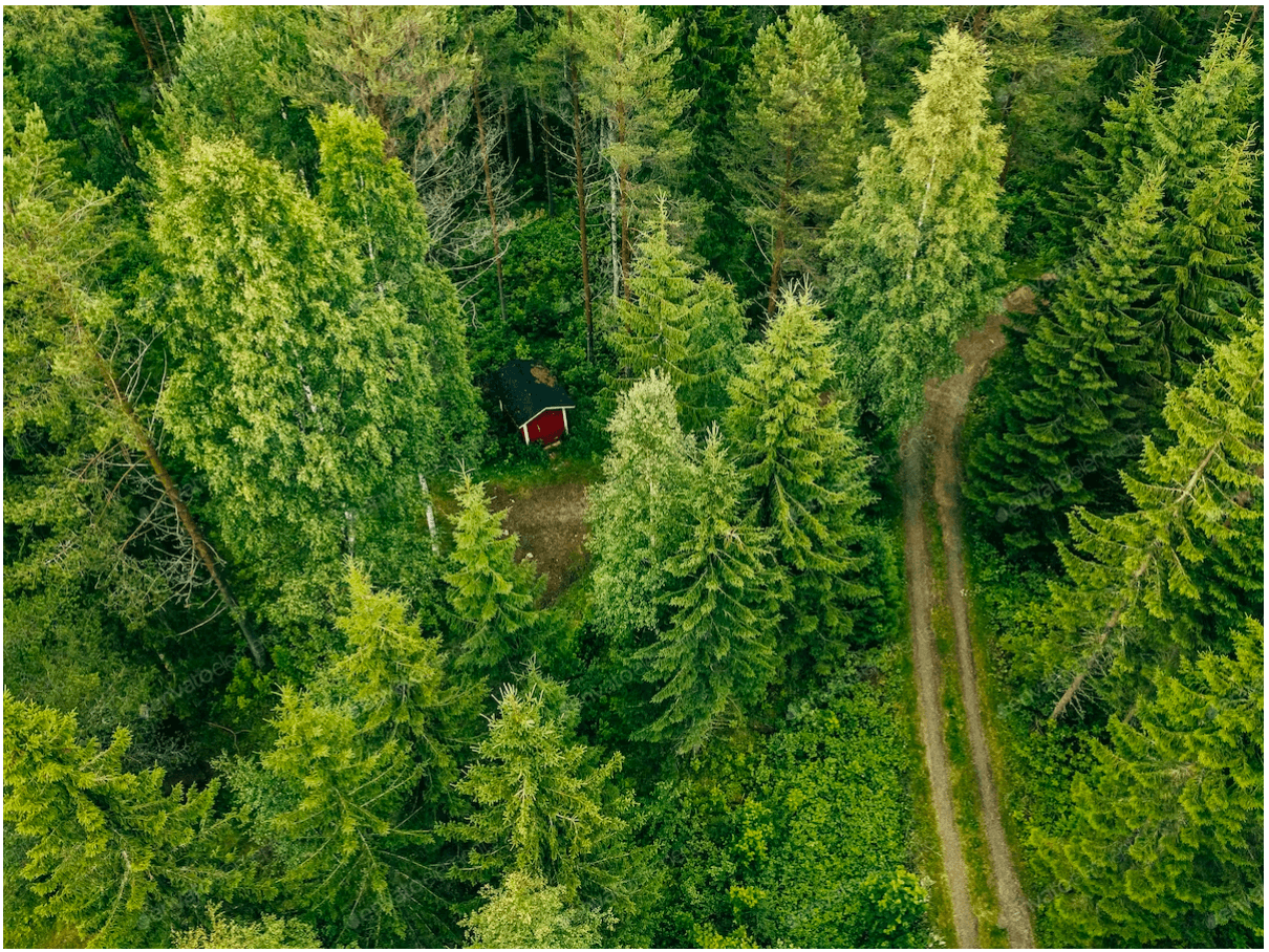 森林巡护智能设备:基于Raspberry Pi的定制HMI方案