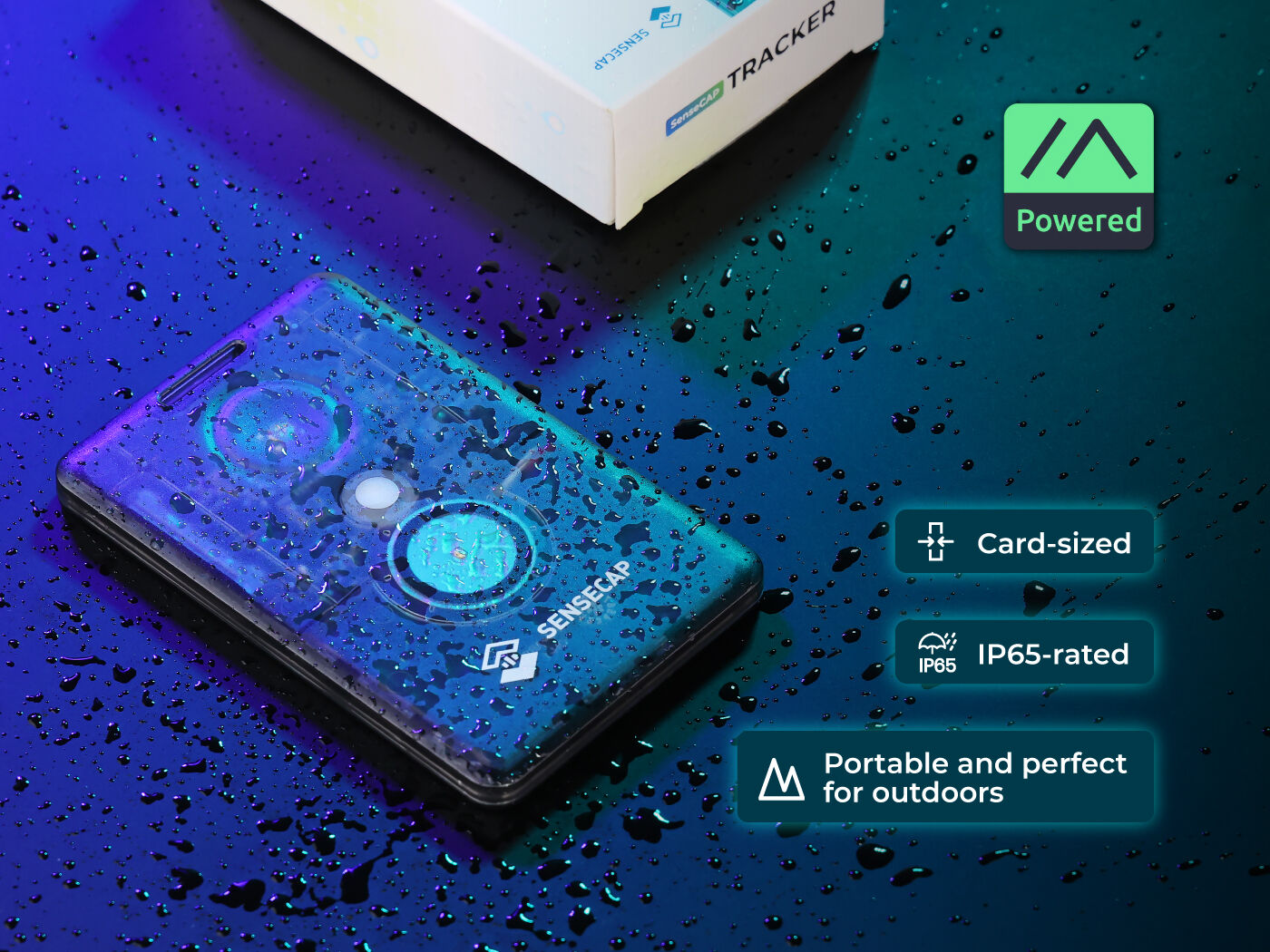 SenseCAP T1000-E 完整产品包装和配件展示