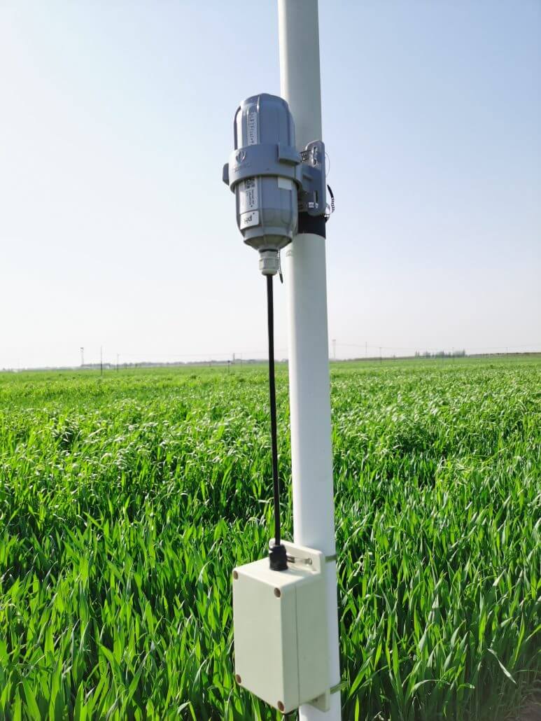 水肥一体，助力高价值黑小麦农场的精确管理