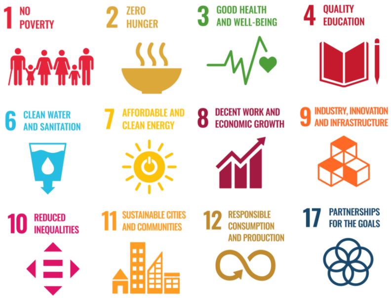 定州北邵村合作社采用SenseCAP系统，实现小黑麦田智慧种植