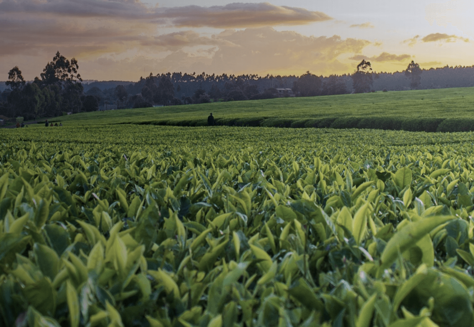 智慧农业环境感知