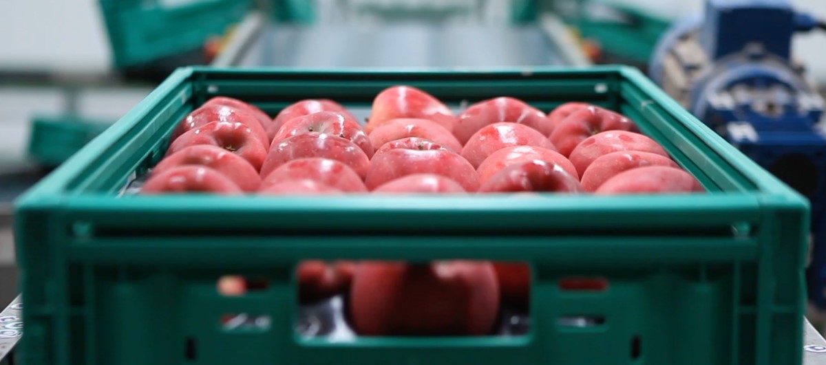 ODM案例分析:基于reTerminal的智能包装系统